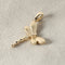 14K Yellow Gold Dragonfly with 0.02ct Diamonds Pendant (Chain Sold Separately)