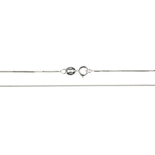 14K White Gold Box Chain