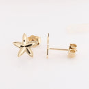 14K Yellow Gold Starfish Post Earrings