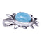 Sterling Silver Larimar Sunflower Pendant(Chain Sold Separately) - Hanalei Jeweler