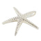 Yellow Gold Plated Sterling Silver Starfish Pendant(L) - Hanalei Jeweler