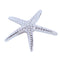 Sterling Silver Rhodium Starfish Pendant(L) - Hanalei Jeweler
